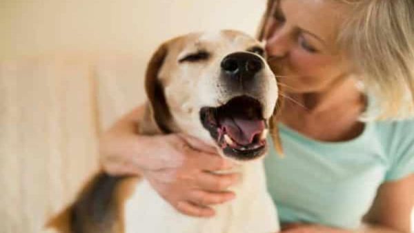 Canine Therapy for Addiction Recovery Enhancing Healing at Briarwood Detox Center