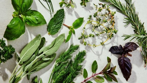Green Herb