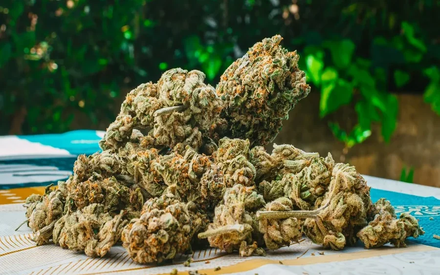 THCA Flower Cheap